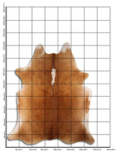 Augšupielādēt attēlu galerijas skatā, Brūna govs āda XXL