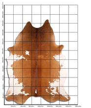 Augšupielādēt attēlu galerijas skatā, Brūna govs āda XXXXL