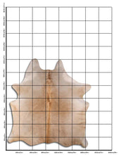 Įkelti vaizdą į galerijos rodinį, Šampaninis karvės kailis XL