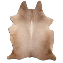 Augšupielādēt attēlu galerijas skatā, Šampanieša govs āda XXL