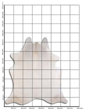 Įkelti vaizdą į galerijos rodinį, Šampaninis karvės kailis XL