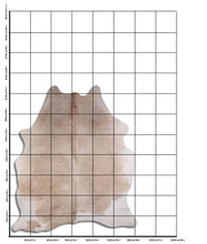 Augšupielādēt attēlu galerijas skatā, Šampanieša govs āda XL