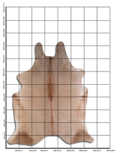 Augšupielādēt attēlu galerijas skatā, Šampanieša govs āda XXL