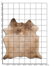 Augšupielādēt attēlu galerijas skatā, Šampanieša govs āda XL