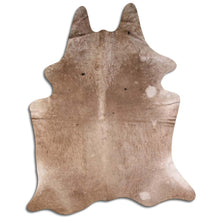 Augšupielādēt attēlu galerijas skatā, Šampanieša govs āda XXL