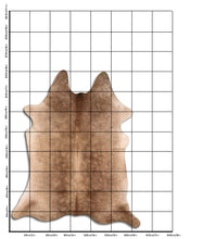 Augšupielādēt attēlu galerijas skatā, Šampanieša govs āda XXL