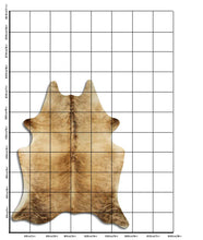 Įkelti vaizdą į galerijos rodinį, Egzotinis karvės kailis XL