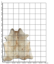 Įkelti vaizdą į galerijos rodinį, Egzotinis karvės kailis L