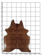 Įkelti vaizdą į galerijos rodinį, Egzotinis karvės kailis L