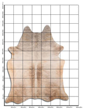 Augšupielādēt attēlu galerijas skatā, Eksotiska govs kažokāda XXXL