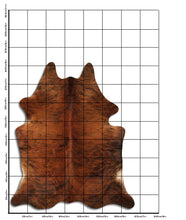 Augšupielādēt attēlu galerijas skatā, Eksotiska govs kažokāda XXL