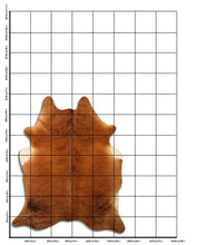 Įkelti vaizdą į galerijos rodinį, Egzotinis karvės kailis L