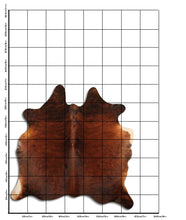 Įkelti vaizdą į galerijos rodinį, Egzotinis karvės kailis L