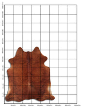Įkelti vaizdą į galerijos rodinį, Egzotinis karvės kailis L