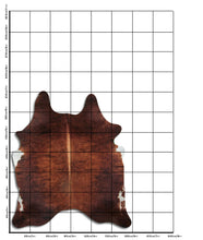 Įkelti vaizdą į galerijos rodinį, Egzotinis karvės kailis L