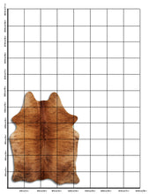 Įkelti vaizdą į galerijos rodinį, Egzotinis karvės kailis M