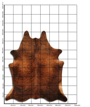 Augšupielādēt attēlu galerijas skatā, Eksotiskas govs kažokādas XXL