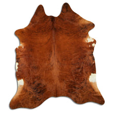 Augšupielādēt attēlu galerijas skatā, Eksotiska govs kažokāda XXL