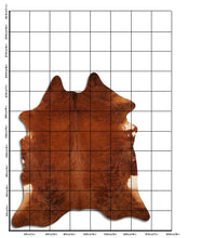 Augšupielādēt attēlu galerijas skatā, Eksotiska govs kažokāda XXL