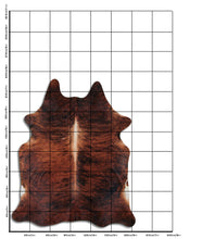 Augšupielādēt attēlu galerijas skatā, Eksotiskā govs āda XL