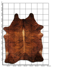 Augšupielādēt attēlu galerijas skatā, Eksotiska govs kažokāda XXXL