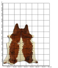 Įkelti vaizdą į galerijos rodinį, Egzotinis karvės kailis XL