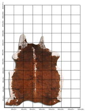 Įkelti vaizdą į galerijos rodinį, Egzotinis karvės kailis XXL