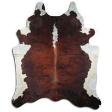 Įkelti vaizdą į galerijos rodinį, Egzotinis karvės kailis "Belly Backbone" XXXL