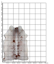 Įkelti vaizdą į galerijos rodinį, Salt and Pepper egzotinis karvės kailis L