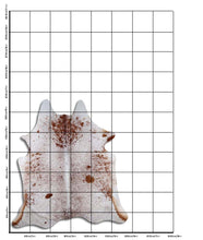 Įkelti vaizdą į galerijos rodinį, Salt and Pepper egzotinis karvės kailis L