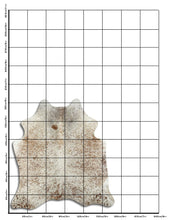 Įkelti vaizdą į galerijos rodinį, Salt and Pepper egzotinis karvės kailis M