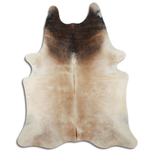 Augšupielādēt attēlu galerijas skatā, Šampanieša govs āda XXL