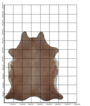 Augšupielādēt attēlu galerijas skatā, Šampanieša govs āda XXL