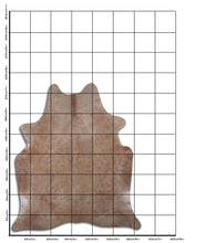 Augšupielādēt attēlu galerijas skatā, Šampanieša govs āda XL