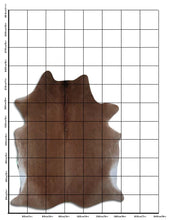 Augšupielādēt attēlu galerijas skatā, Šampanieša govs āda XL