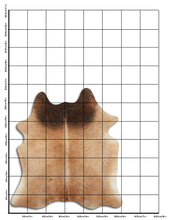 Įkelti vaizdą į galerijos rodinį, Rudas karvės kailis L
