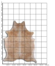 Augšupielādēt attēlu galerijas skatā, Šampanieša govs āda XL