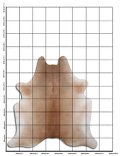 Augšupielādēt attēlu galerijas skatā, Šampanieša govs āda XL