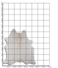 Augšupielādēt attēlu galerijas skatā, Šampanieša govs āda L