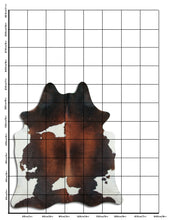 Augšupielādēt attēlu galerijas skatā, Trīskrāsu govs āda XL