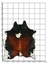 Įkelti vaizdą į galerijos rodinį, Trispalvis karvės kailis XL