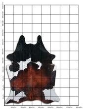 Įkelti vaizdą į galerijos rodinį, Trispalvis karvės kailis XXL