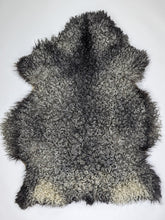 Augšupielādēt attēlu galerijas skatā, Gotlandes aitādas XL