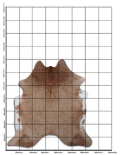 Augšupielādēt attēlu galerijas skatā, Brūna govs āda L