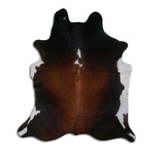 Augšupielādēt attēlu galerijas skatā, Trīskrāsu govs āda XL