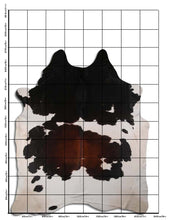 Augšupielādēt attēlu galerijas skatā, Trīskrāsu govs āda XXXXL