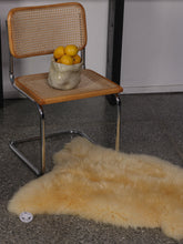 Įkelti vaizdą į galerijos rodinį, Medicininis avikailis iš šono