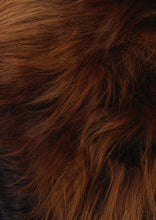 Įkelti vaizdą į galerijos rodinį, Islandiškas avikailis Rusty iš arti