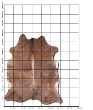 Įkelti vaizdą į galerijos rodinį, Egzotinis karvės kailis XL