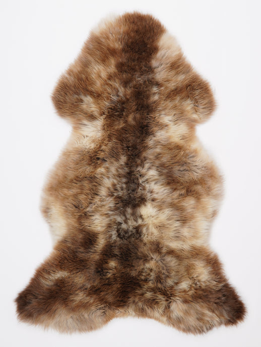 Įvairiaspalvis avikailis XL